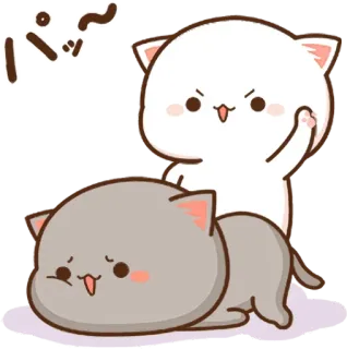 😠 パッ kot, koty, kawaii, słodki, zły, Peachcat whatsapp sticker