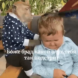 🙈 Боже брат какой олух тебя так подстриг ลิง, เด็ก, ตัดผม, ตลก, สัตว์, มุก telegram sticker
