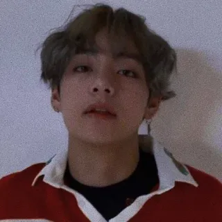 🐯 V BTS kpop, idol, penyanyi, musik, korea telegram sticker