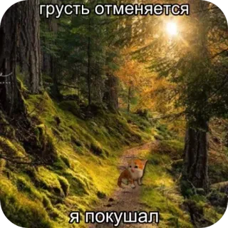 🥳 грусть отменяется
я покушал cat, forest, path, happy, cute, nature, russian whatsapp sticker