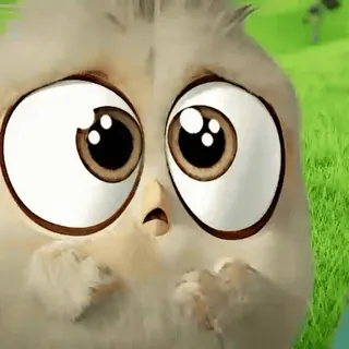 🎈 pássaro, desenho animado, fofo, animal, bobo, engraçado whatsapp sticker