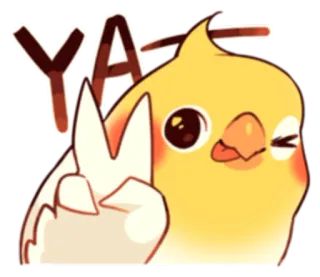 ✌ YA นก, สัญลักษณ์สันติภาพ, ค็อกกาเทล, น่ารัก, การ์ตูน, สติกเกอร์ telegram sticker