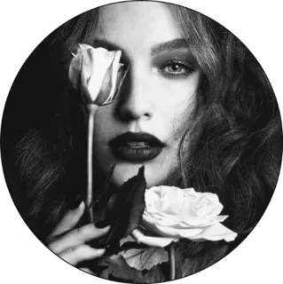 ☁️ femme, rose, fleur, noir et blanc, portrait, beauté telegram sticker