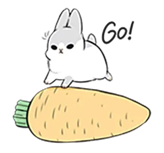 🏃‍♀ So Cool królik, marchewka, słodki, naklejka, kreskówka telegram sticker