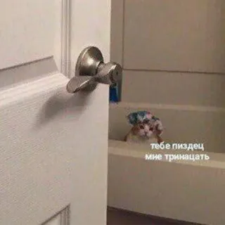 🤬 тебе пиздец
мне тринадцать kot, łazienka, język rosyjski, obraźliwe telegram sticker