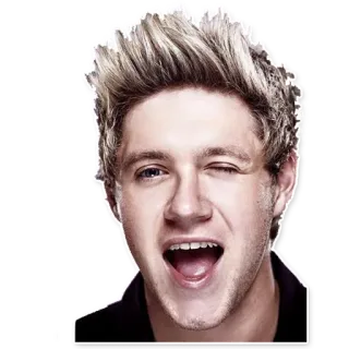 😉 Niall Horan chanteur, One Direction, célébrité, pop, clin d'oeil, musique, Niall Horan telegram sticker