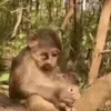 🤨