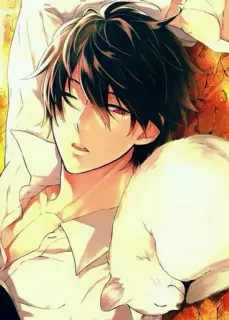 😴 アニメ, 男, 猫, 横たわる, アート telegram sticker