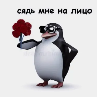 🧠 СЯДЬ МНЕ НА ЛИЦО penguin, sunglasses, flowers, offensive telegram sticker