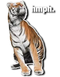 Derptacular Felines telegram stickers