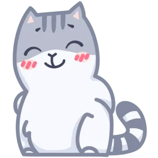 😼 gato, fofo, animal, kawaii, doméstico, cinza telegram sticker
