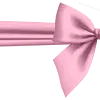 🎀