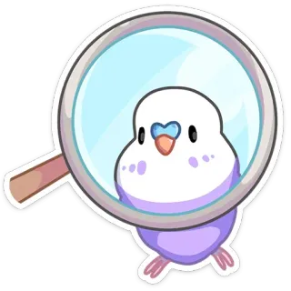 🔍 pájaro, periquito, lupa, lindo, animal, pegatina whatsapp sticker