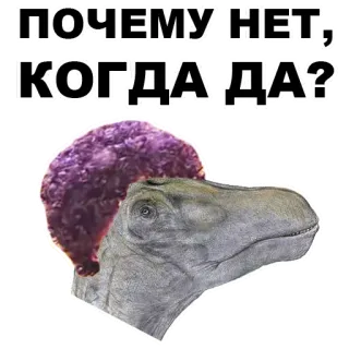 👇 ПОЧЕМУ НЕТ, КОГДА ДА? dinosauro, russo, domanda, viola, animale whatsapp sticker