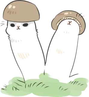greyrabbit_2 telegram stickers
