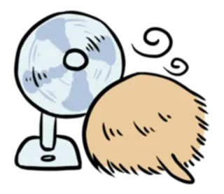 🌀 Fan, Cheveux whatsapp sticker