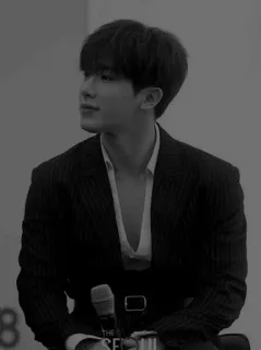 🖤 THE SEOUL man, korean, suit, microphone, singer telegram sticker
