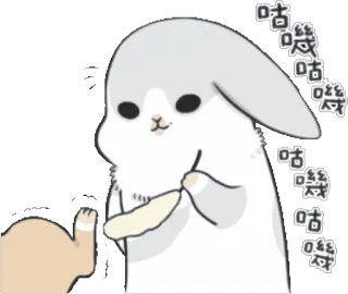 🤭 嘻嘻嘻嘻嘻嘻嘻 konijn, konijntje, schattig, dier, sticker, hand telegram sticker