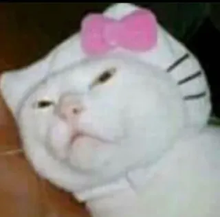 😔 cat, hello kitty, animal, cute, funny, meme, pet whatsapp sticker