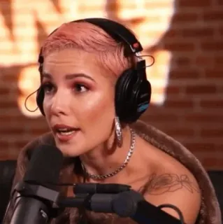 🕊 telegram sticker
