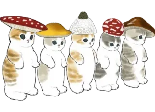🍄 kucing, anak kucing, jamur, hewan, lucu, kawaii, cendawan, topi telegram sticker
