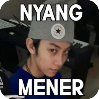 🖼 NYANG MENER telegram sticker