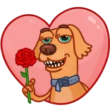 🌹