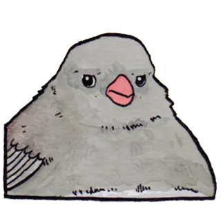 😒 bird, gray, animal telegram sticker