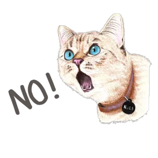 😤 Nala 고양이, 애완동물, 동물, 날라, 귀여운, 스티커 telegram sticker