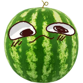🤓 melancia, fruta, fofo, kawaii, adesivo telegram sticker