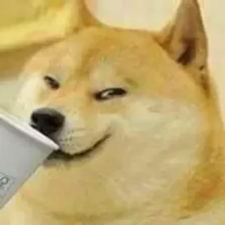 🏵 Doge chó, meme, doge, shiba inu, meme trên mạng telegram sticker