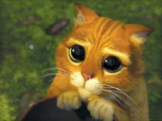 😢 Puss in Boots gatto, il gatto con gli stivali, occhi grandi, carino, animato, Dreamworks telegram sticker