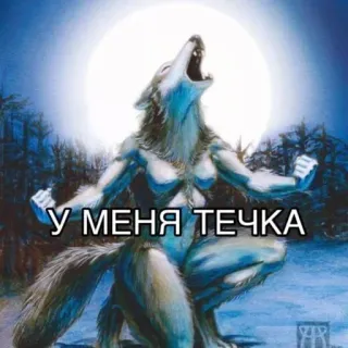 😭 У МЕНЯ ТЕЧКА loup-garou, lune, bête, créature, fantaisie, animal, texte russe telegram sticker