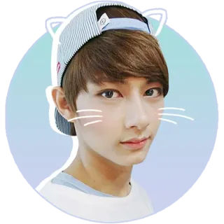 😼 cat ears, teenager, portrait, cute, kawaii, filtered, korean telegram sticker