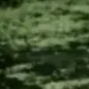 🤩