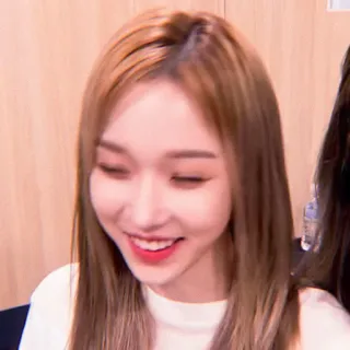 🌸 whatsapp sticker