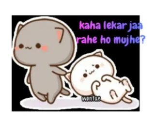 😨 kaha lekar jaa rahe ho mujhe? cats, cute, kawaii, animals, sticker, cartoon whatsapp sticker