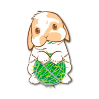 😕 うさぎ, ボール, 可愛い, 動物, ペット telegram sticker