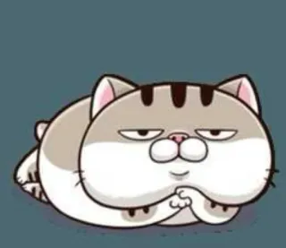 🥱 Katze, süß, Tier, Cartoon, Aufkleber telegram sticker
