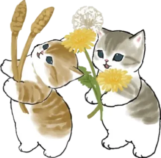 🌾 gato, gatinho, dente-de-leão, flores, fofo telegram sticker
