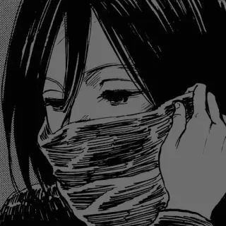 😔 Mikasa Ackerman Attack on Titan Anime, Manga, Japanisch, Mikasa, Attack on Titan, Shingeki no Kyojin telegram sticker