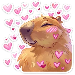 🥰 капибара, животное, милый, сердечки, любовь, счастье, грызун telegram sticker