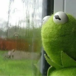 🌟 Kermit kermit, traurig, frosch, meme, fenster, regen whatsapp sticker