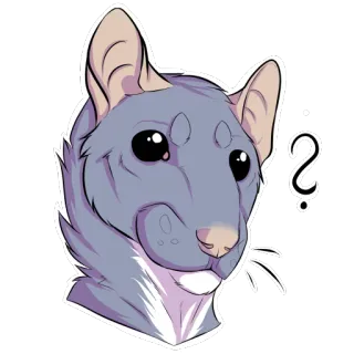 ❔ rat, animal, animal de compagnie, question, dessin animé telegram sticker