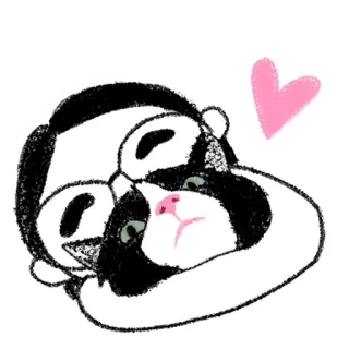 ❤️ gatto, persona, abbraccio, amore, cuore, animale domestico, amicizia, affetto telegram sticker