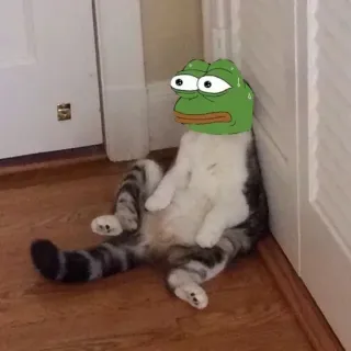 📎 Pepe the Frog Pepe, Rana, Meme, Meme de Internet, Gato whatsapp sticker