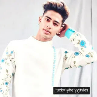 😊 Lucky the Styles persona, hombre, estilo, moda, retrato, ropa whatsapp sticker