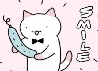 😃 SMILE Katze, Gurke, Lächeln, Cartoon, süß, Haustier, Tier telegram sticker