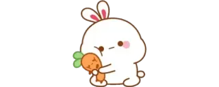 ✨ coniglio, coniglietto, carota, carino, kawaii telegram sticker