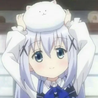 💙 Anime, Dziewczyna, Kreskówka, Uroczy, Kawaii, Kot telegram sticker
